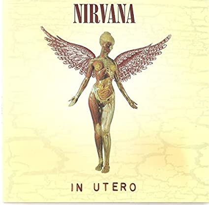 Nirvana In Utero [Import]