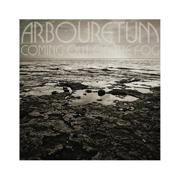 Arbouretum Coming Out of the Fog