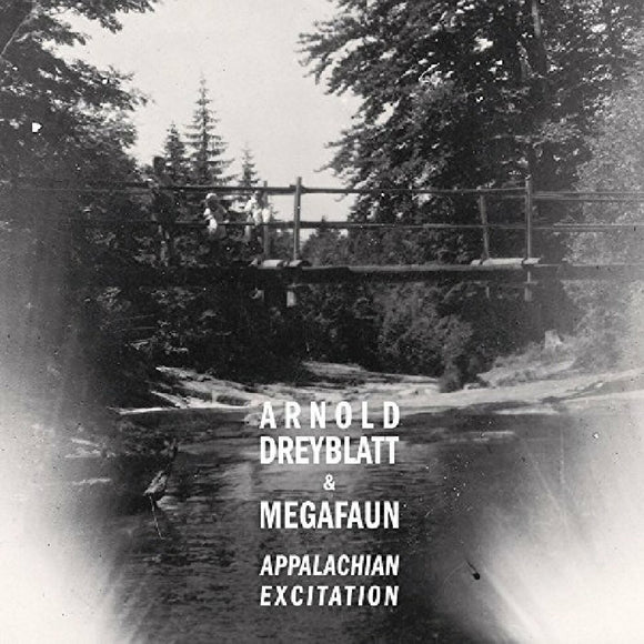 Arnold & Megafaun Dreyblatt Appalachian Excitation