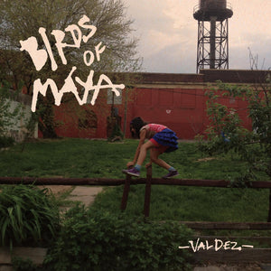 Birds of Maya Valdez