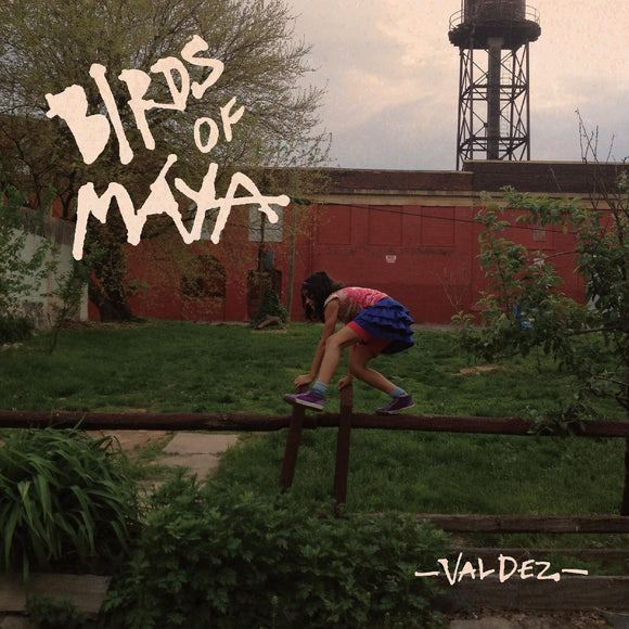Birds of Maya Valdez