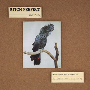 Bitch Prefect Bird Nerds
