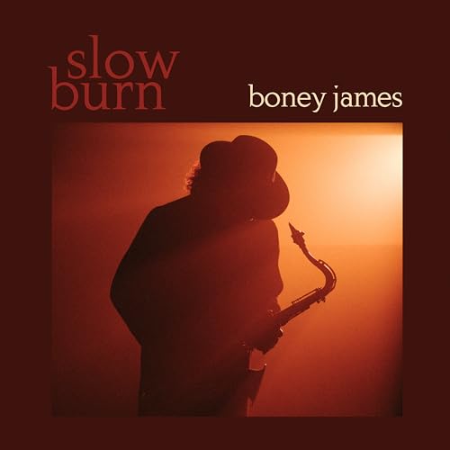 Boney James Slow Burn [LP]
