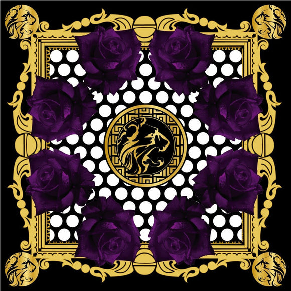 BRTSH KNIGHTS If I Was To / Hazed - 12