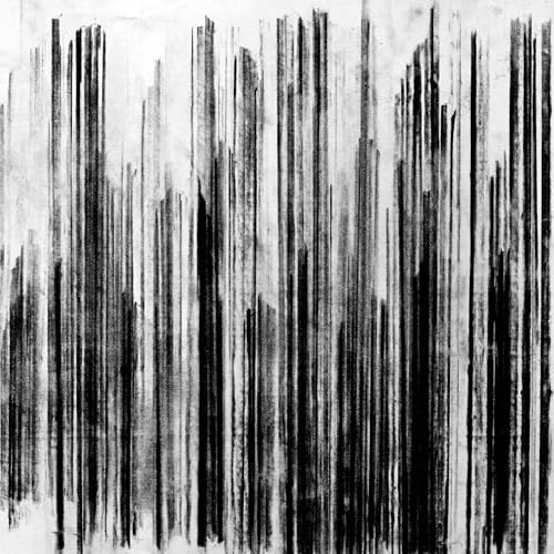 Cult of Luna Vertikal I & Ii