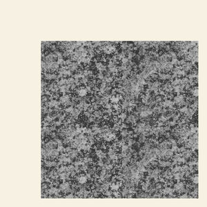 Girls Names The New Life - 12"