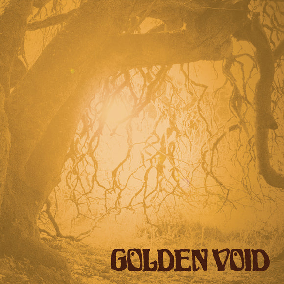 Golden Void Golden Void