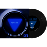 Guns N' Roses Perhaps / General (Limited Edition, 7-Inch Vinyl) [Import]