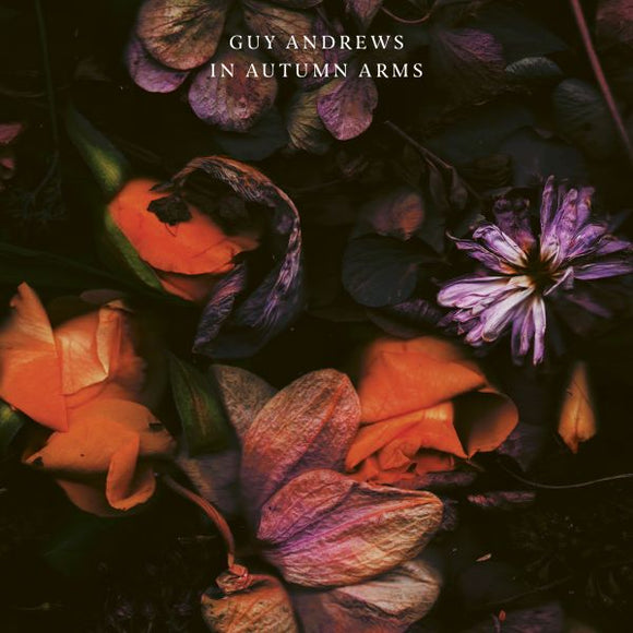 Guy Andrews In Autumn Arms (COLOR VINYL)