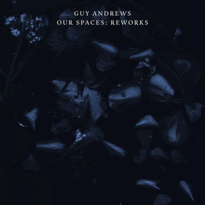 Guy Andrews Our Spaces: Reworks
