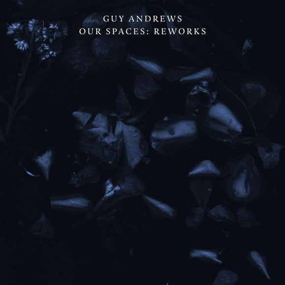 Guy Andrews Our Spaces: Reworks
