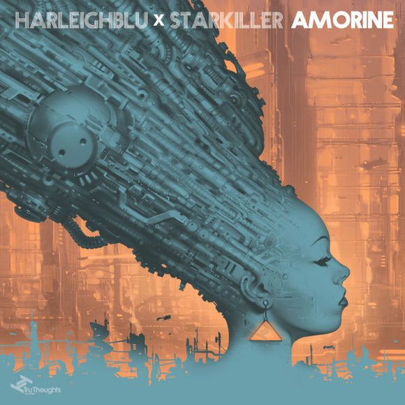 Harleighblu Amorine