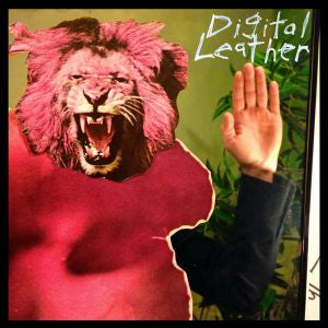 Hussy/Digital Leather Split LP