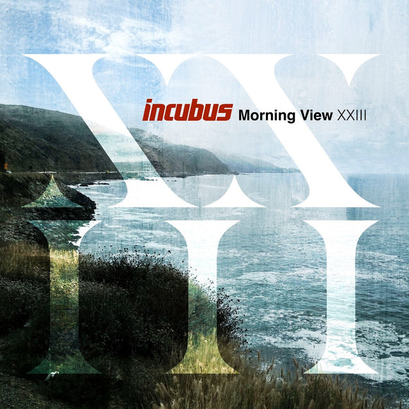 Incubus Morning View XXIII (180 Gram Vinyl) (2 Lp's)
