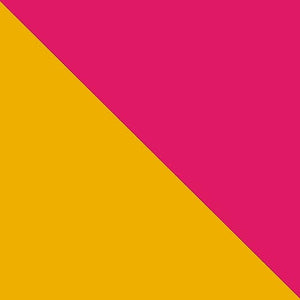 James Taylor Flag