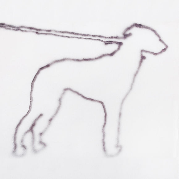 Jonah Yano portrait of a dog