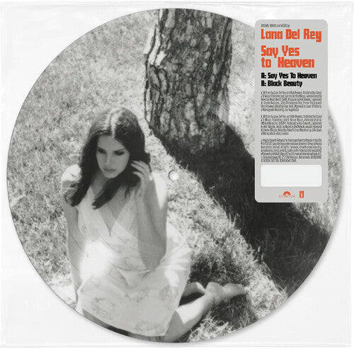 Lana Del Rey Say Yes To Heaven (7