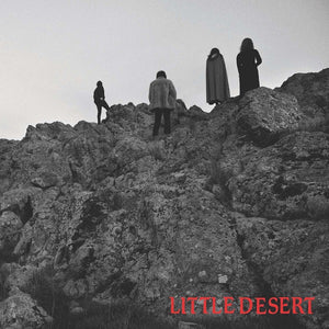 Little Desert Ashes - 7"