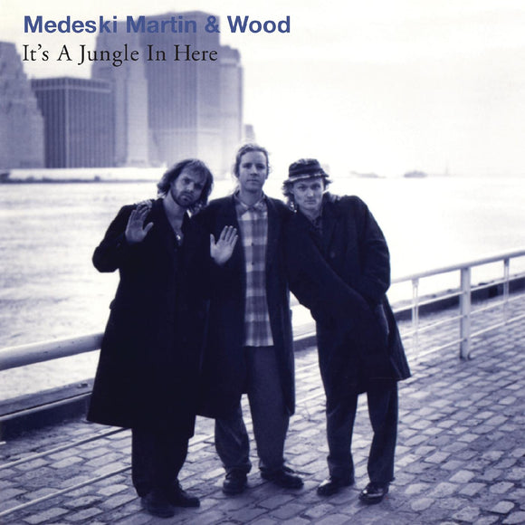 Martin & Wood Medeski It's a Jungle in Here