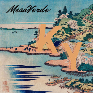MESAVERDE Ky (WHITE VINYL)