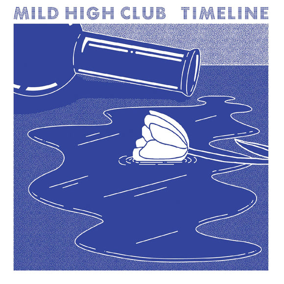 Mild High Club Timeline