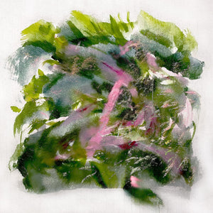 MIZU Forest Scenes (COLOR-IN-COLOR LIGHT PINK & RED VINYL)