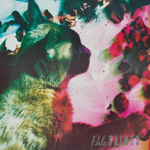Pale Saints The Comforts of Madness (30th Anniversary Reissue)