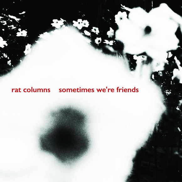 Rat Columns Sometimes We're Friends