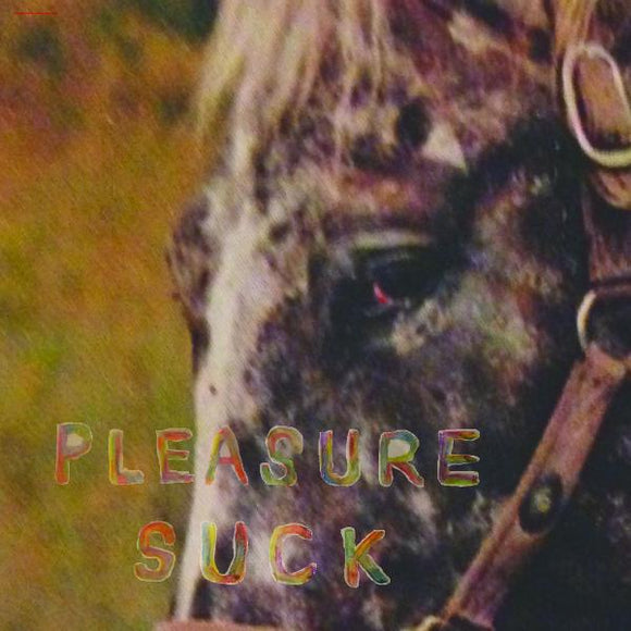 SPIRIT OF THE BEEHIVE Pleasure Suck (TRANSPARENT ORANGE VINYL)