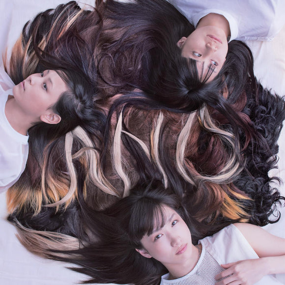 Tricot A N D (BROWN & TAN COLOR-IN-COLOR VINYL)