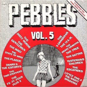 Various Artists Pebbles Vol. 5