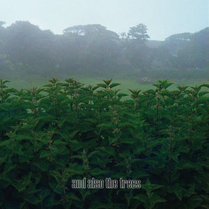 And Also The Trees And Also The Trees (Rex) | RSD DROP