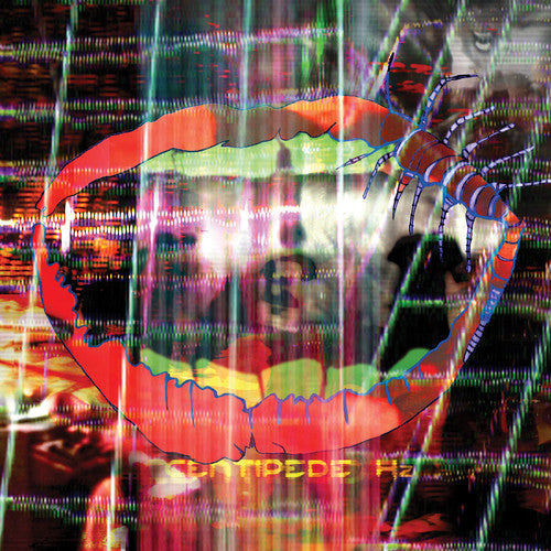 Animal Collective Centipede HZ (MP3 Download) (2LP)
