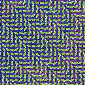 Animal Collective MERRIWEATHER POST PAVILION