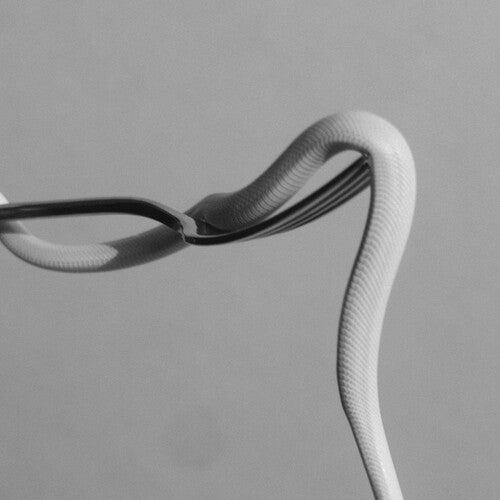 Animals As Leaders Parrhesia (Neon Orange) [INDIE EX]