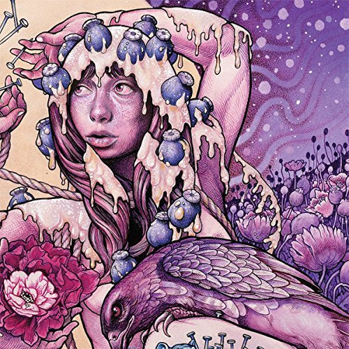 Baroness Try To Disappear (Picture Disc) (Indie Exclusive)