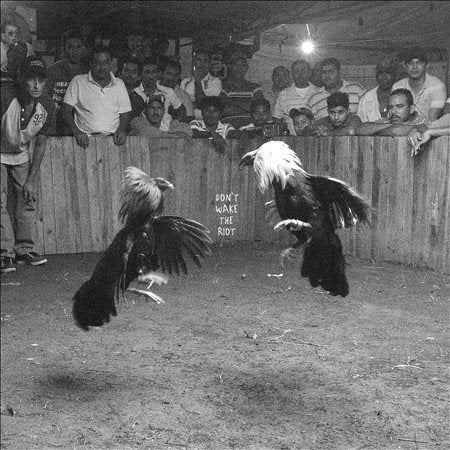 Black Pistol Fire DON'T WAKE THE (LP)
