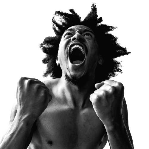 Bobby Sessions Manifest [LP]