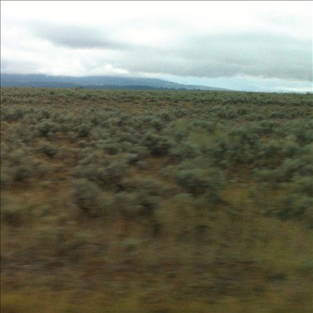 Caroline Says 50,000,000 ELVIS FANS CAN'T BE WRONG