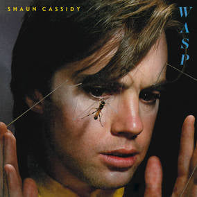 Cassidy, Shaun WASP