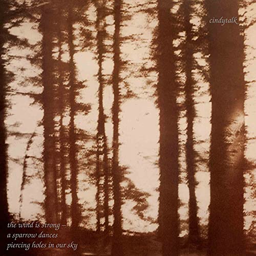 Cindytalk Wind Is Strong