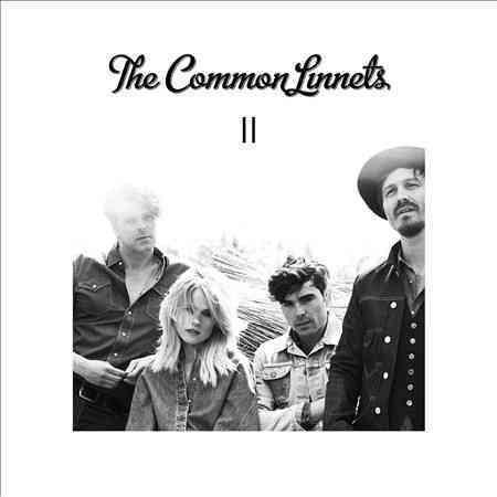 Common Linnets II