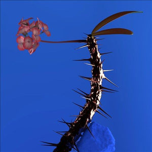 Flume SKIN COMPANION EP II