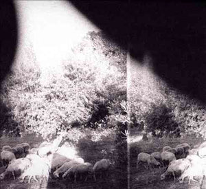 Godspeed You Black Emperor ASUNDER SWEET & OTHER DISTRESS