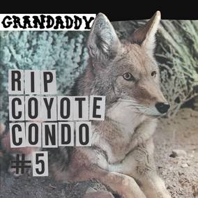 Grandaddy 