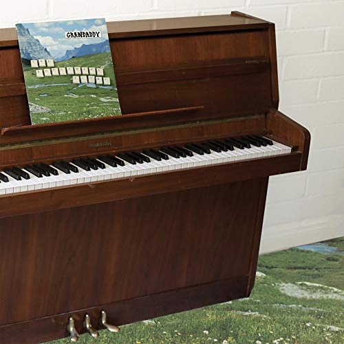 Grandaddy The Sophtware Slump ..... On A Wooden Piano