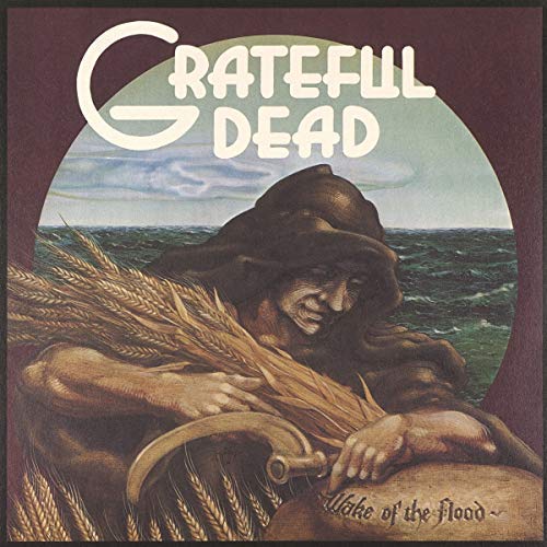 Grateful Dead Wake of the Flood (LP)(Rocktober 2018 Exclusive)