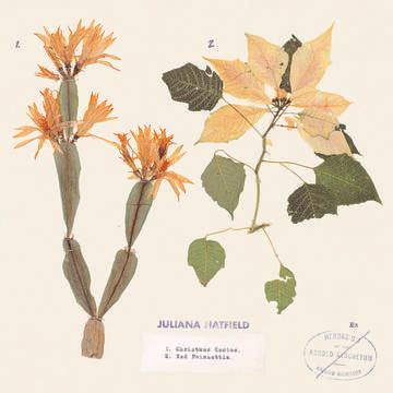 Hatfield, Juliana Christmas Cactus/Red Poinsettia (RSD Black Friday 11.27.2020)