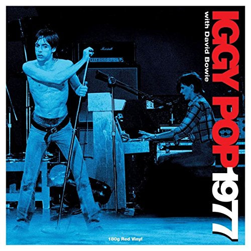 Iggy Pop 1977