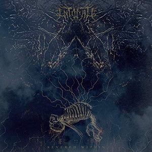 Intonate Severed WIthin [Random Mixed Color LP]